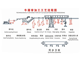 牛屠宰工藝流程