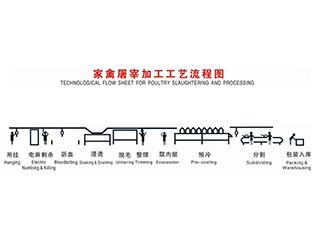 遵義家禽屠宰工藝流程當(dāng)前