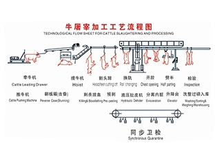 牛屠宰工藝流程